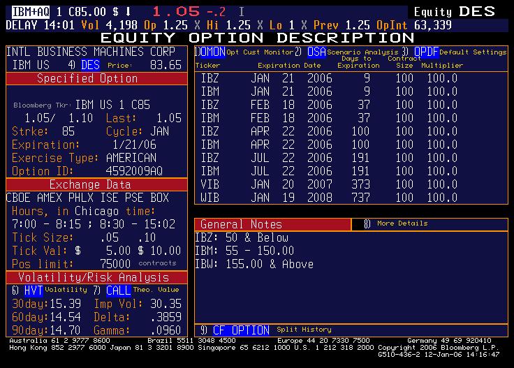 Examples Bloomberg: details of a call option on IBM