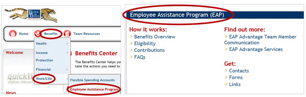 EMPLOYEE ASSISTANCE PROGRAM - EAP The Employee Assistance Program (EAP) is provided through BDA Morneau Shepell at no cost to you and your immediate family members on a self-referral basis (some