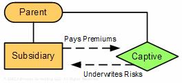 Figure 1: Flow on how captive insurance works A captive insurance company is simply an insurance company owned by the parent that underwrites the insurance needs of the parent's subsidiaries.