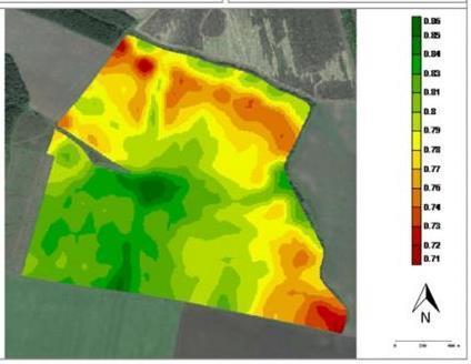 NAAI Satellite Monitoring for Members All NAAI members have access to satellite monitoring since 2016 Insurers analyse crop conditions using satellite images and weather data Insurers can monitor