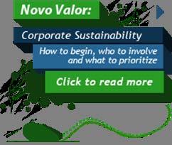 Reporting is one of the 13 steps to insert sustainability into company.