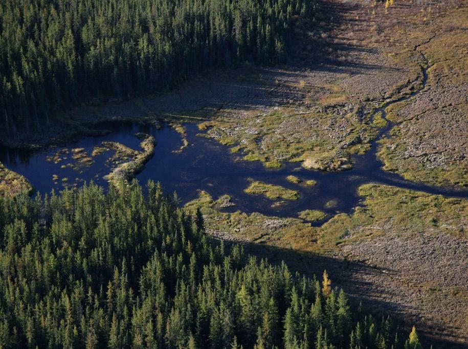 Boreal Forest Impacts 16. The Athabasca Boreal Forest will not be restored to its native state following mine closure.