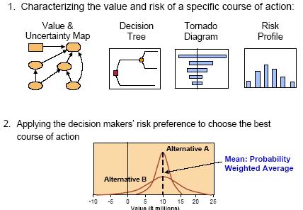 disciplines and DM risk attitudes.