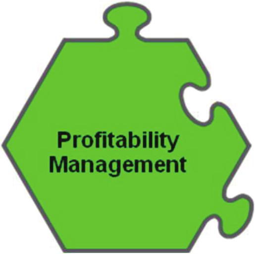 Profitability Management Profitability of insurance business depends on the actualization of the assumptions relating to expenses, income and mortality.
