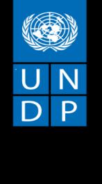Terms of reference GENERAL INFORMATION Title: Public Financial Management Expert (Indonesian National) Project Name : Environment Unit/ Sustainable Development Financing (SDF) & BIOFIN Reports to: