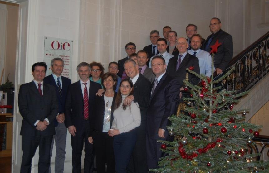 1 st Steering Group Meeting (Paris, December 2013)