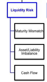 Triggers vs. Limits Triggers (Monitoring Ratios) Can be set to watch for different possible changes to future liquidity. Maturity Mismatch is an indicator of potential risk.