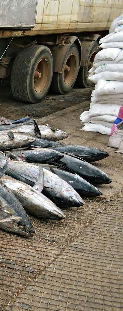 WCO news N 80 June 2016 This photo was taken in Senegal by Kukka Ranta, an investigative journalist, photographer and author who worked extensively on the consequences of overfishing in West Africa.