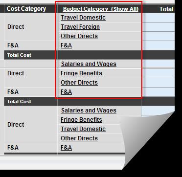 3. In this case, the Budget Category column header and individual Budget Category elements are hyperlinked. Clicking on Show All displays all budget category elements.
