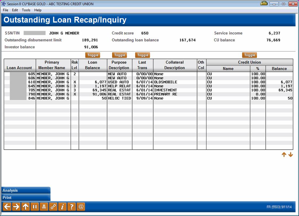 Action Code OL What loan obligations does this borrower