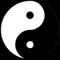 Conclusion: yin and yang Tao of supervision and risk management with a