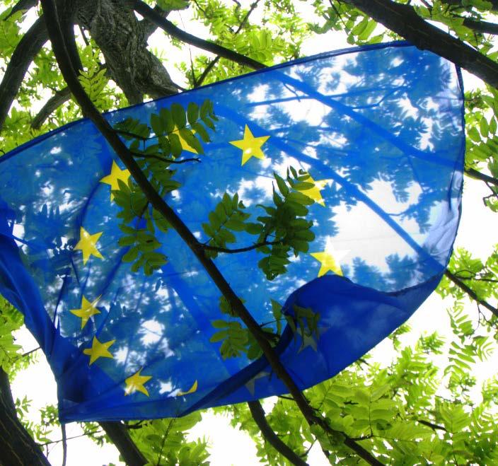 POSITION PAPER 2018 JANUARY Flag of the European Union. Creator: Niccolò Caranti.