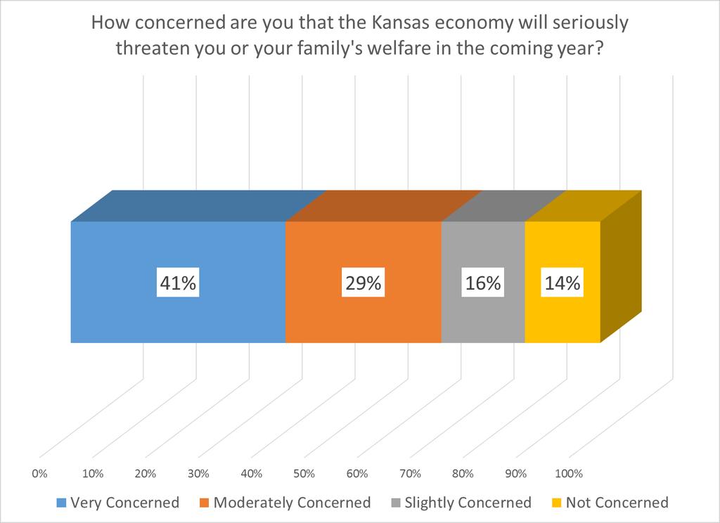 Analysis Section 1: Economy and Kansas Budget Respondents were asked how concerned they were that the Kansas economy would seriously threaten their personal or their family s welfare in the coming