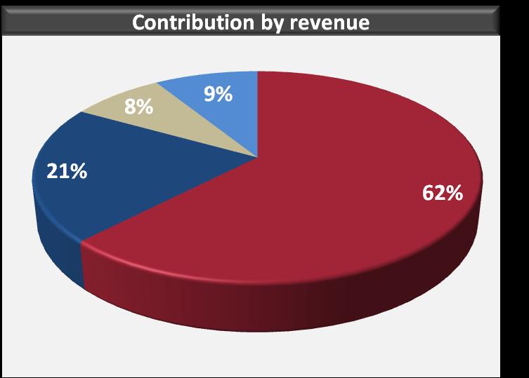Diversity of revenue and profit