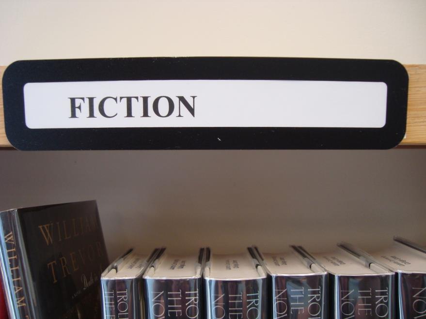 FICTION SECTION Fiction is