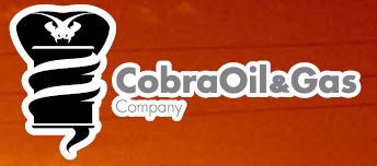 The Company is actively identifying short and long term oil and gas opportunities in proven domestic energy plays.