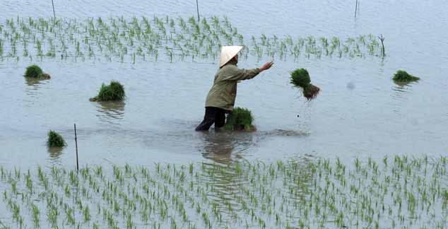 Climate change impacts and a carbon intense economy threaten Vietnam s development progress.