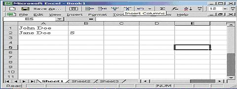 Excel Tips (Microsoft Excel 2003 or earlier) Problem: The name field is not in the correct format (e.g., the correct format is 'Doe, John' and the census reads 'John Doe').