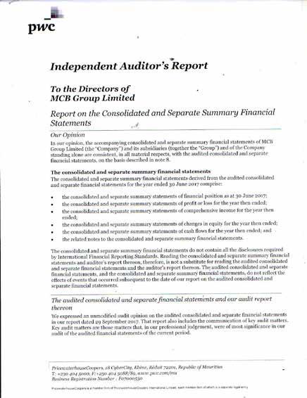 Independent Auditor s Report