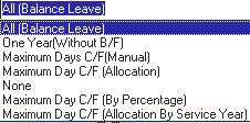 ANNEX A CARRY FORWARD LEAVE METHODS 1. All (Balance Leave) - Select this option if you want to carry forward ALL your YTD 2013 leave balance to the year 2014.