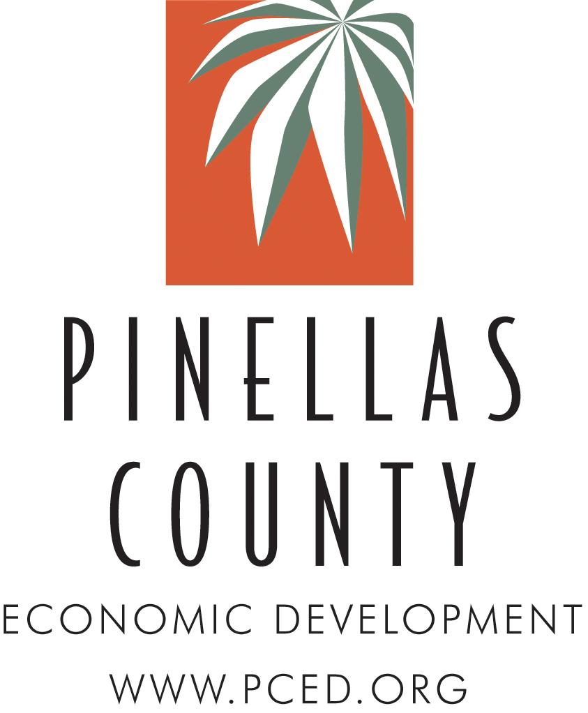 NOVEMBER 2017 PINELLAS COUNTY POPULATION PROJECTION 2016-2021 PREPARED BY