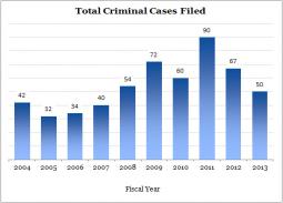 Enforcement: Sheer number of cases filed