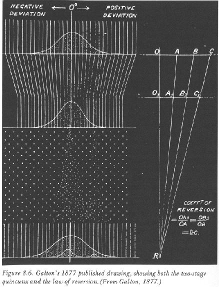 In the 1870s, Sir Francis Galton created a device he called a quincunx for studying probability. The device was made up of a vertical board with a chute at the top.