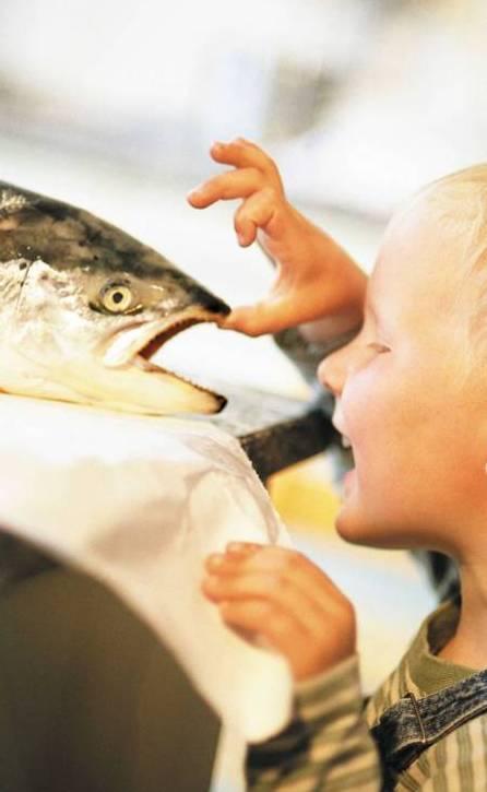 Lerøy Seafood Group Market strategy: Quality Presence in major seafood markets Branding Diversity in product range
