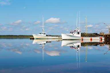 Province of Prince Edward Island Forty-third Annual Statistical Review