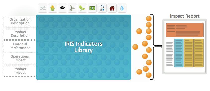 IRIS Framework IRIS Structure Qualitative and