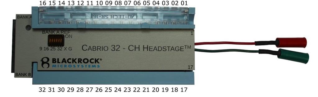 The blue LED will light up when power is applied to the headstage. Different references can be selected through the dip switch as shown in Figure 2-1.