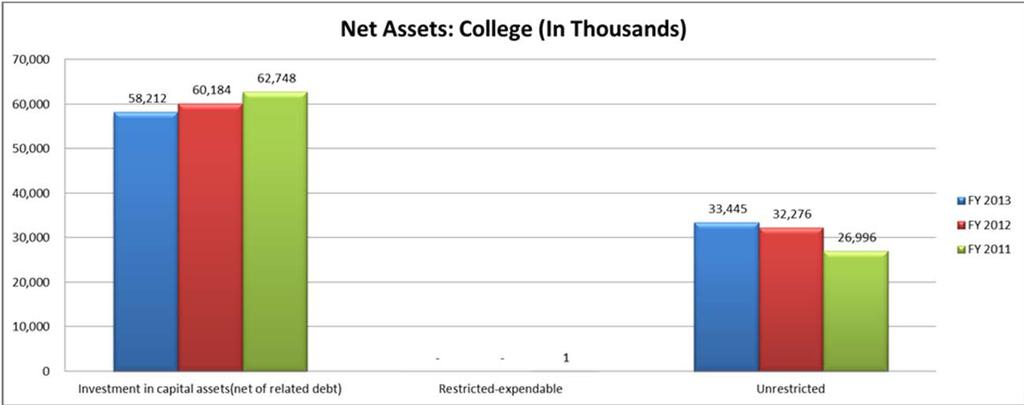 Management s Discussion and Analysis Statement of Net Position (continued) A review of the Statements of Net Position reveals that the total net position of the College decreased by $802,490, for the