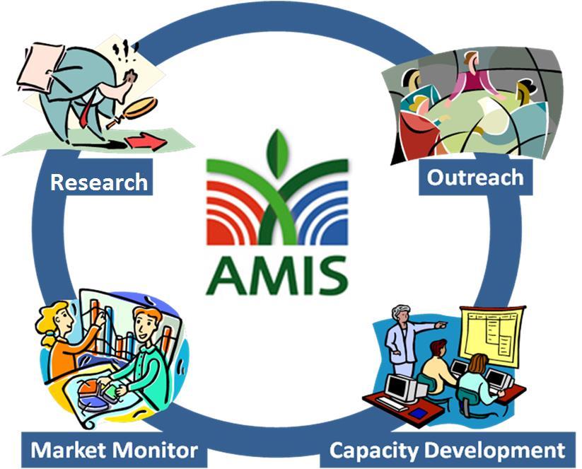 What is AMIS?