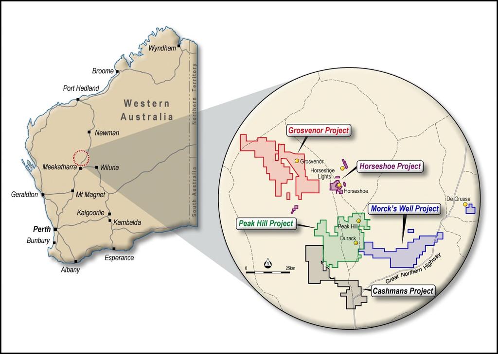 Project Overview NEAR-TERM PRODUCTION PATHWAY: RNI is pursuing a low-cost and near-term production pathway for the Grosvenor and Peak Hill gold projects, which have combined resources of ~2Moz