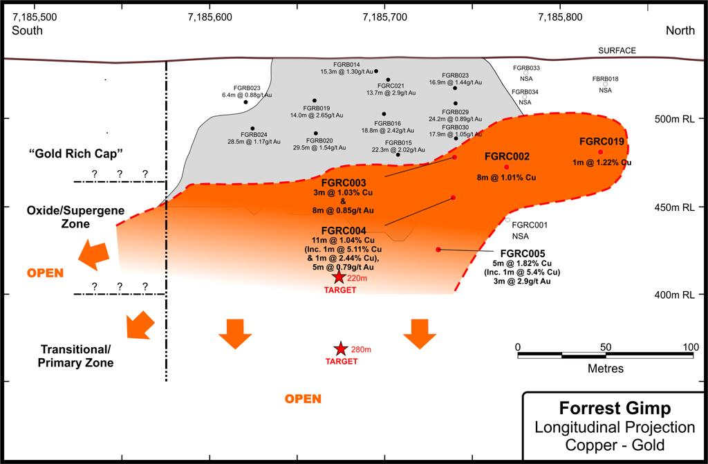 Forrest Gimp An Exciting Copper-Gold Discovery Copper-gold discovery of up to 5.4% Cu beneath gold rich cap Open in all directions.
