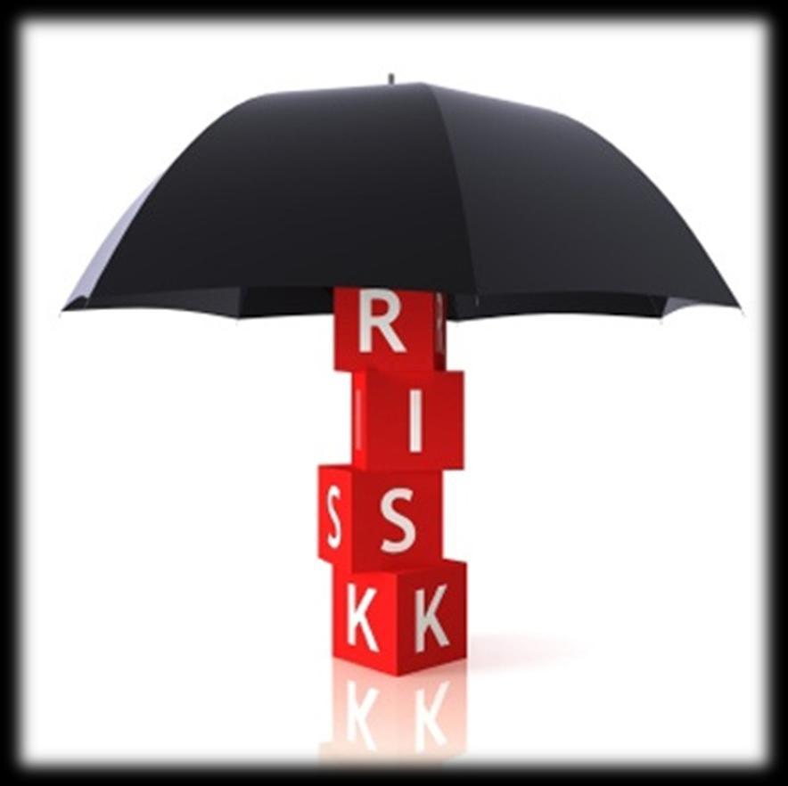 Two Ways To Manage Mortgage Portfolio Risk Insourcing Internal Monitoring Lower Cost But With Elevated Risk Profile Exposure Only