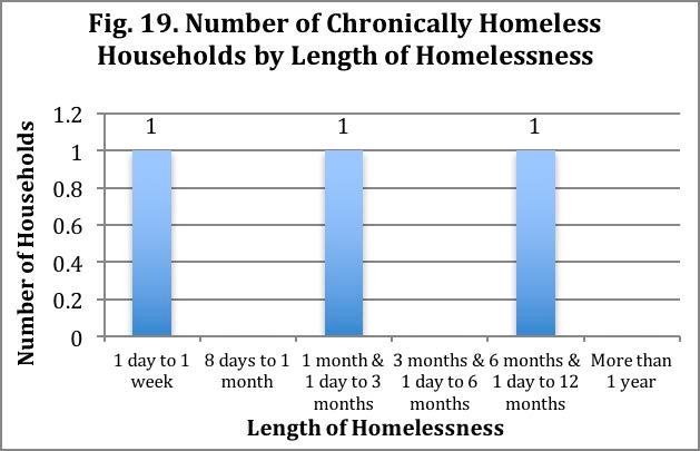 reported non-cash benefits among the chronically homeless, with 100% receiving both of these benefit. 33.3% also reported receiving Medicare.