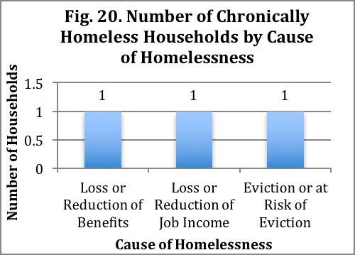 on the episodes of homelessness they have experienced. Cause of Homelessness When asked to share the primary factor that contributed to, or caused, their homelessness, 33.