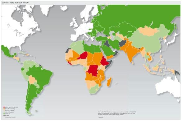 2008 Global Hunger Index
