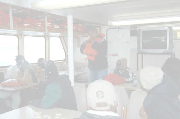 13. ACTION PLAN Development and Implementation of a New Business Model Development of a new Ferry Operating Model Standardisation of the narrative; Tour guiding Manual is being finalised to inform