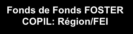 of Interest Fonds de Fonds FOSTER COPIL: Région/FEI Manager Fund of Funds