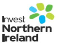 Design and set-up Implementation structure Governance Strategic oversight and direction for all Invest NI activity - Invest NI Board Strategic oversight for Access to Finance Strategy Access to