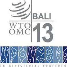 Decision-making in the WTO Ministerial Conference General