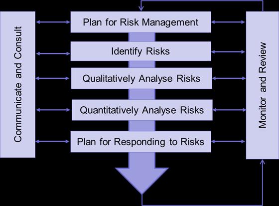 CCG Recommends project risk management should focus on responding to risk, actually doing something Figure 1: Risk Management Process Step1: Plan for Risk Management Planning for Risk Management