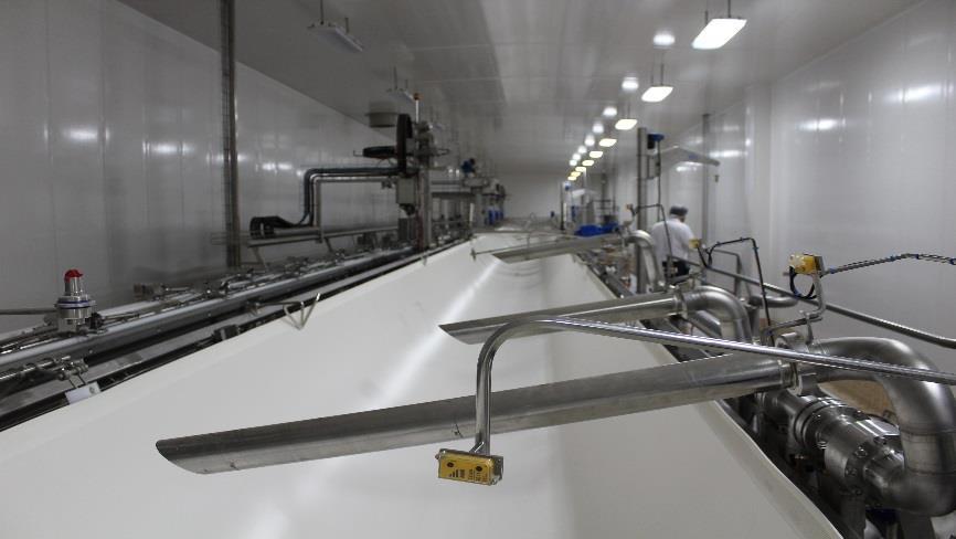 CHEESE PRODUCTION CAPACITY Investment: +1,000mm MXN