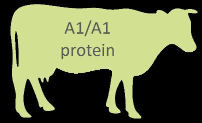 What is the a2 Milk brand difference?