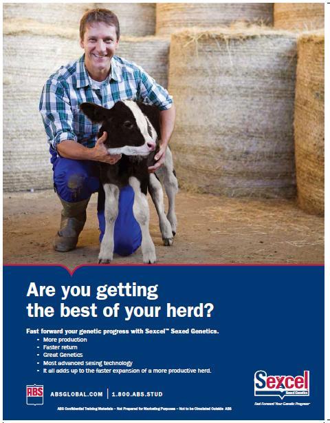 Sexcel launch customer field trial experience Dairy Bottom line, it gets heifers pregnant.