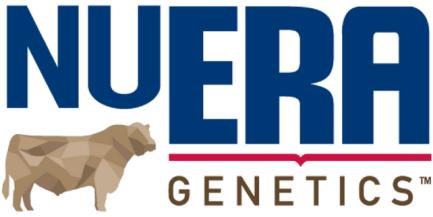 Launching NuEra proprietary beef genetics Beef
