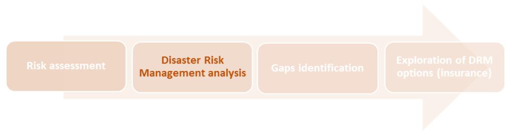 III. Disaster Risk Management Mapping (DRM) Chapter Summary The most common disaster risk prevention, mitigation and coping mechanisms proposed to be used by the microfinance sector are: - The need