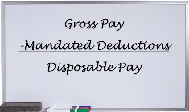 Disposable Earnings 24 Disposable Income = gross pay - mandatory deductions.